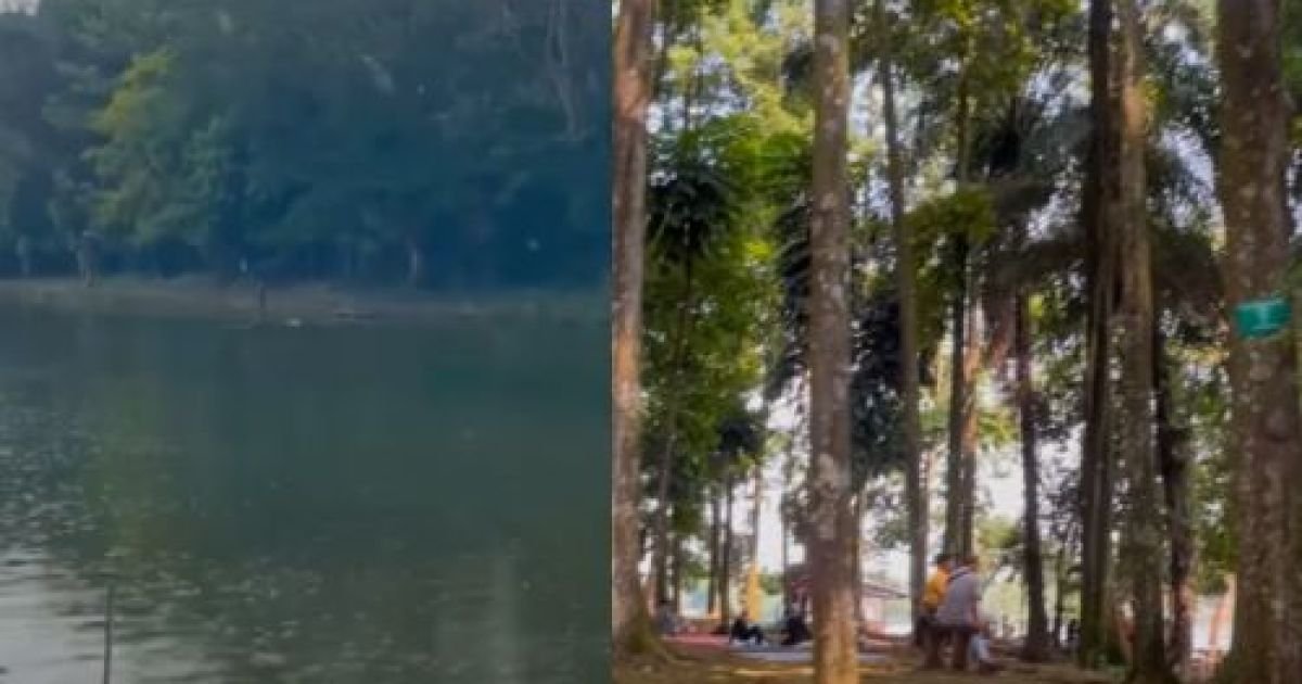 Situ Gede Bogor, hidden gem wisata alam yang hanya 20 menit dari Stasiun Bogor.
