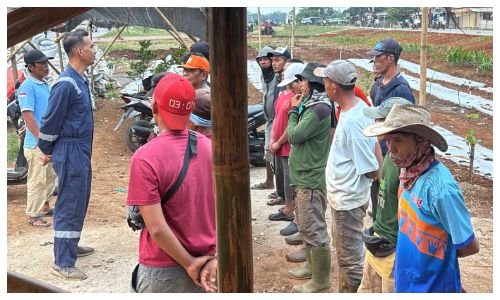 Jalur Bojonggde-Kemang Bogor Bakal Disulap Jadi Kawasan Pertanian Terpadu