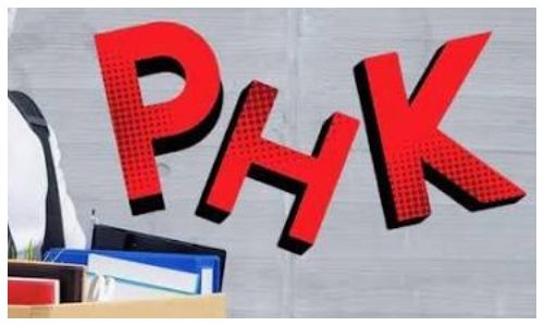 Gelombang PHK Terus Terjadi, Pemerintah Diminta Bergerak Cepat Mengatasi Penyebabnya