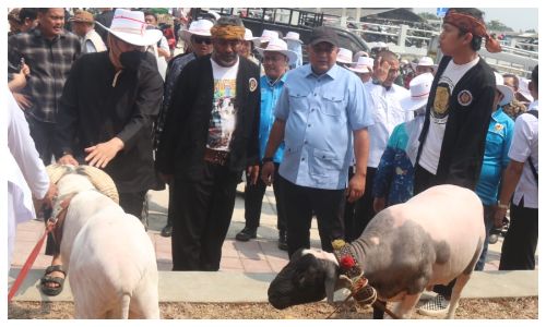 Pasar Hewan Jonggol Bogor Dilengkapi Hotel dan Fasilitas Modern