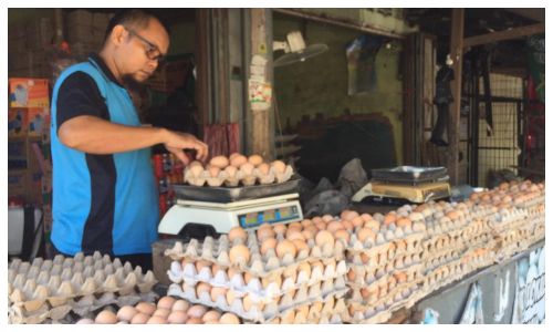 Daftar Lengkap Harga Pangan Nasional: Beras, Cabai, hingga Terlur Ayam