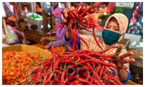 Harga Pangan Meroket, Cabai Rawit Merah Tembus Rp70.450/Kg