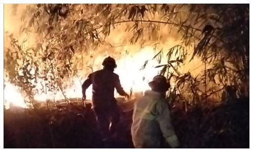 Kebakaran Hebat Landa Penggilingan Plastik di Cileungsi Bogor