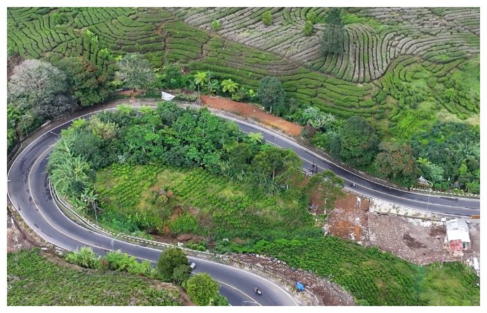 Pemkab Bogor Bangun Jalan Alternatif Pasir Muncang-Taman Safari, Target 2026