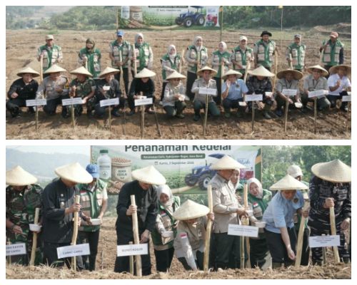 Pemkab Bogor Galakkan Tanam Kedelai di Lahan TNI AL, Target Peningkatan Produksi Pangan