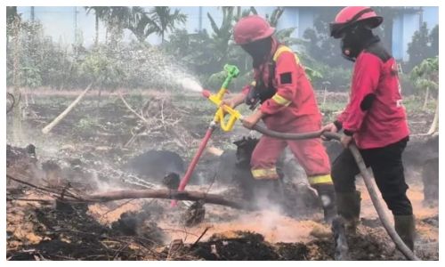 Pencegahan Karhutla Riau, Menko Polhukam Ingatkan Tanggung Jawab Bersama